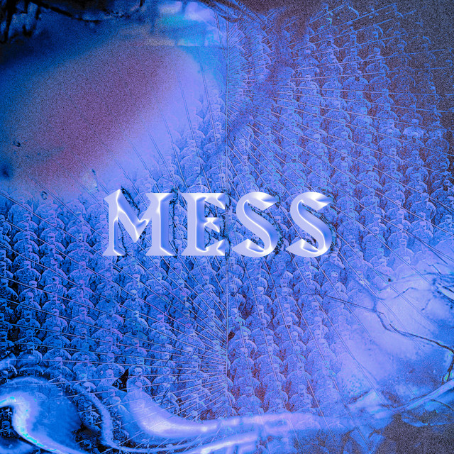 Mess cover