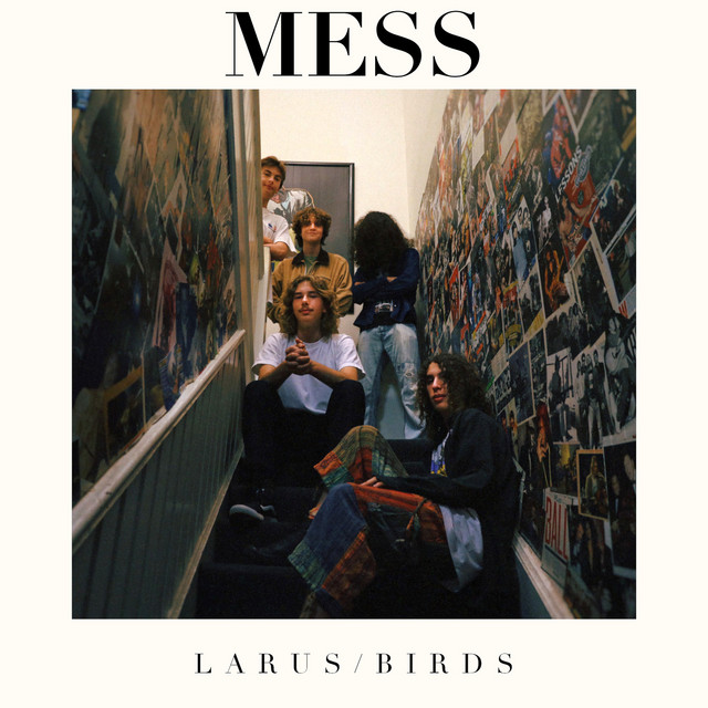 Larus/Birds cover art