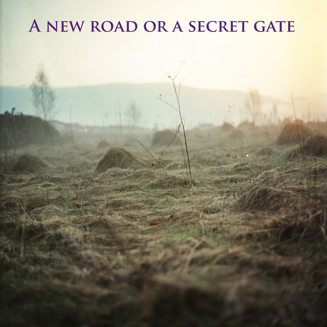 A new road or a secret gate cover art