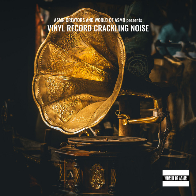 Vinyl Record Crackling Noise cover art