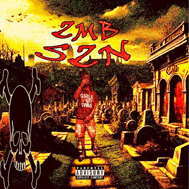 Zmb sZn cover art