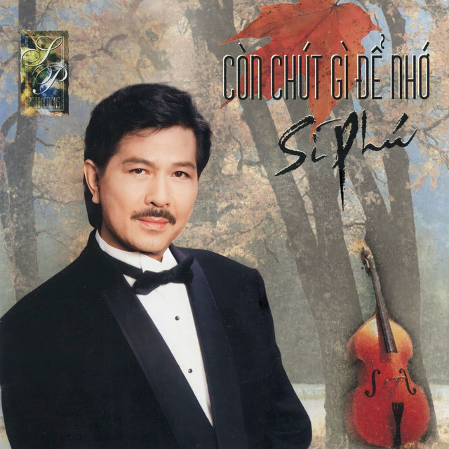 Còn Chút Gì Để Nhớ cover art