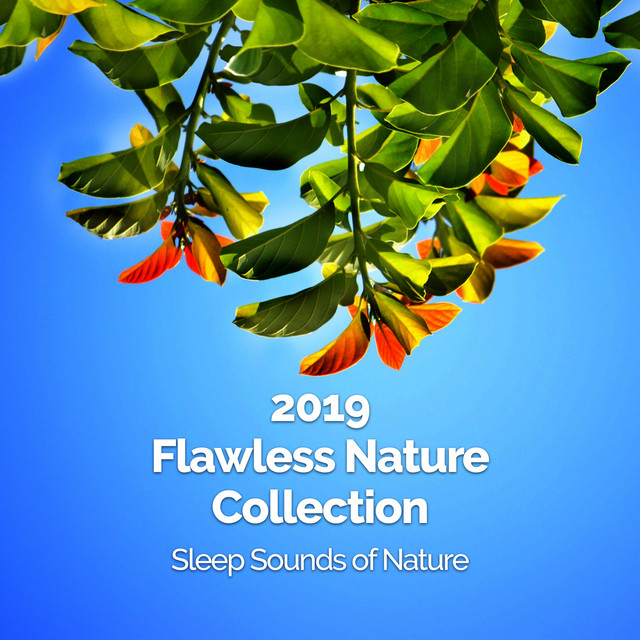 2019 Flawless Nature Collection - Album by Sleep Sounds of Nature | Spotify
