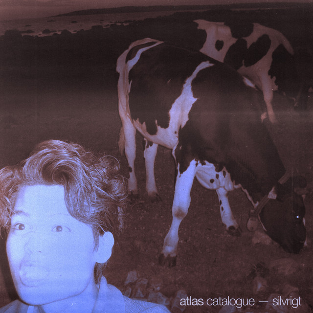 Silvrigt cover art