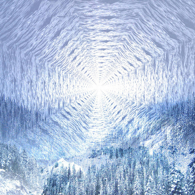 The Coyote cover art