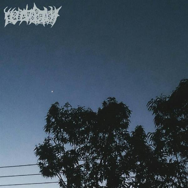 Void cover art