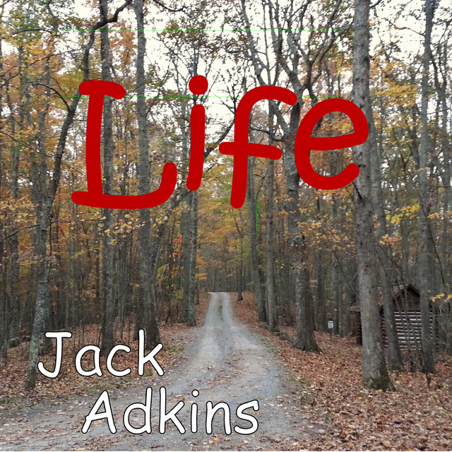 Life cover art