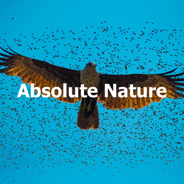 Absolute Nature cover art