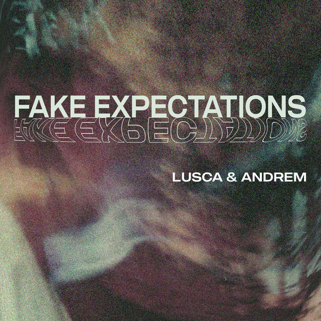 Fake Expectations cover art