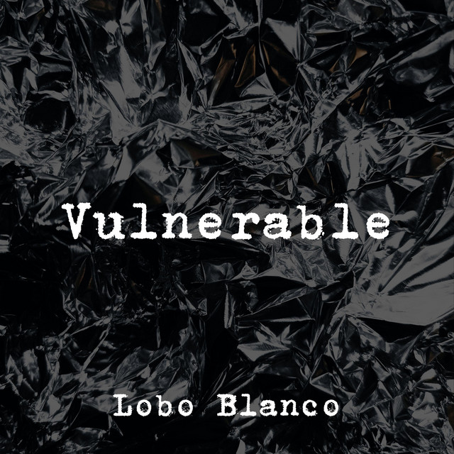 Vulnerable cover art