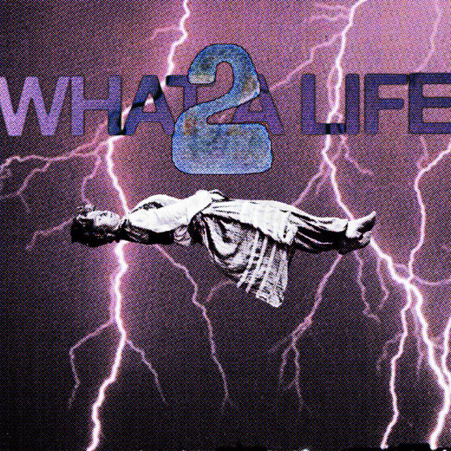 What A Life 2 cover art