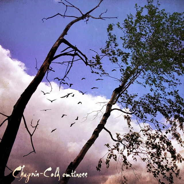 Cold Emptiness cover art