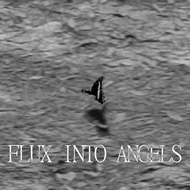 FLUX INTO ANGELS cover art