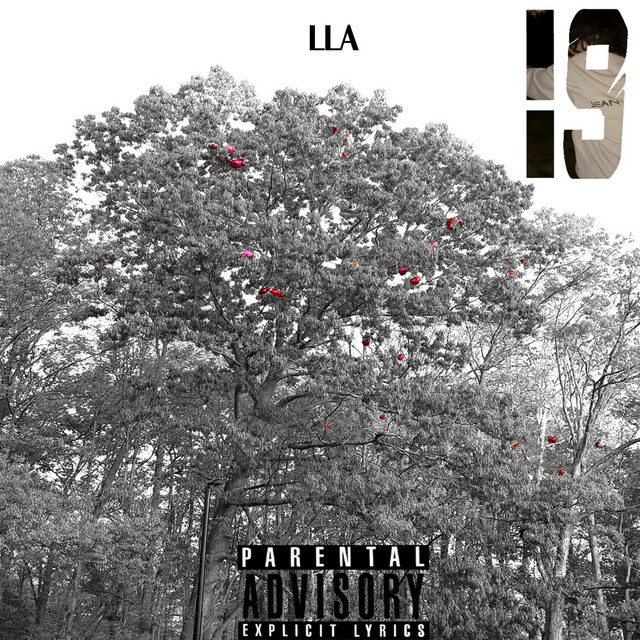 LLA cover art