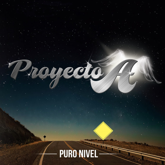 Puro Nivel cover art