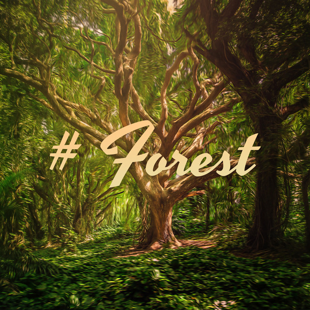 # Forest (Unique Relaxing Nature Music, Sleep, Relaxation & Meditation) cover art