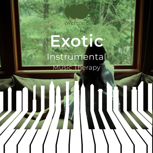 zZz Exotic Instrumental Music Therapy zZz cover art