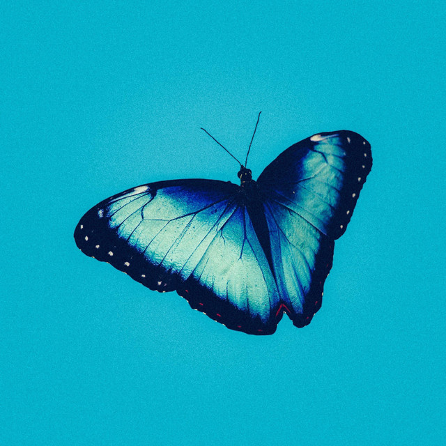 ENCASED cover art
