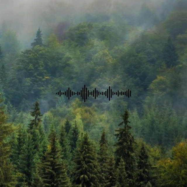 Iris (White Noise Piano) cover art