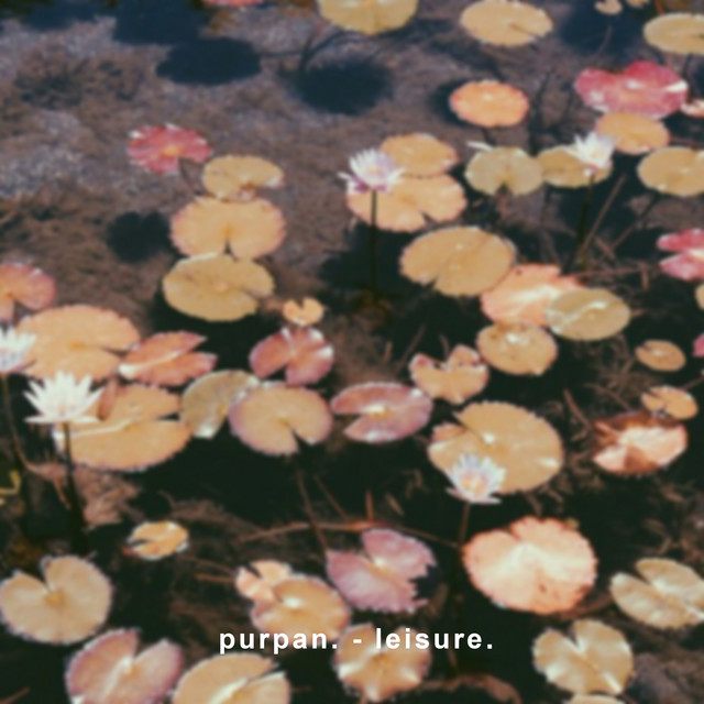 Leisure. cover art