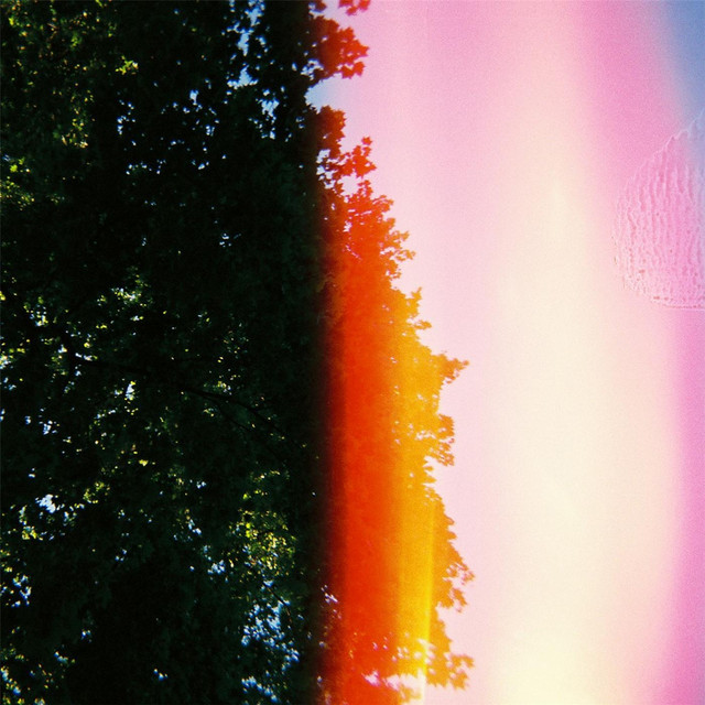 Losing Colour cover