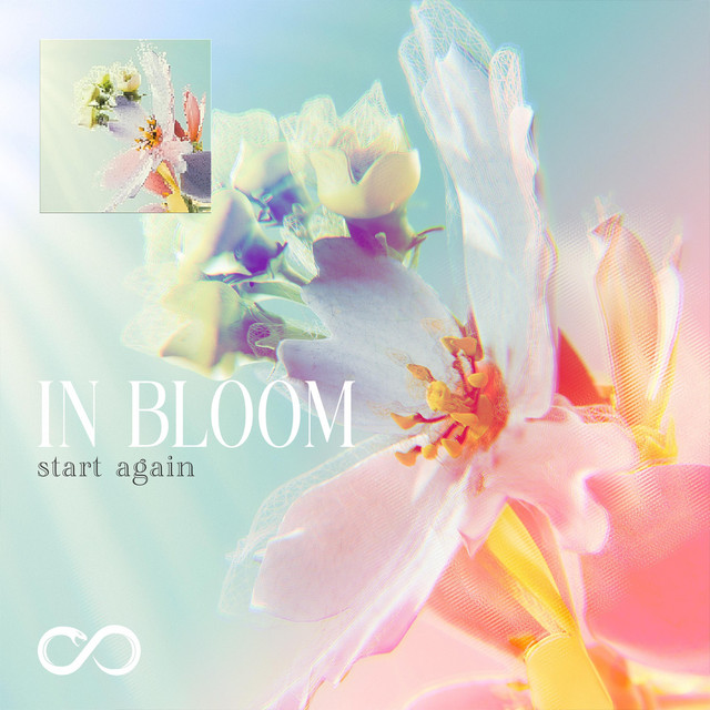 In Bloom (Start Again)