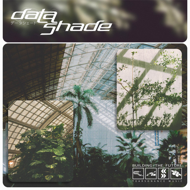 datashade