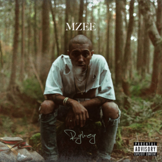 MZEE cover art