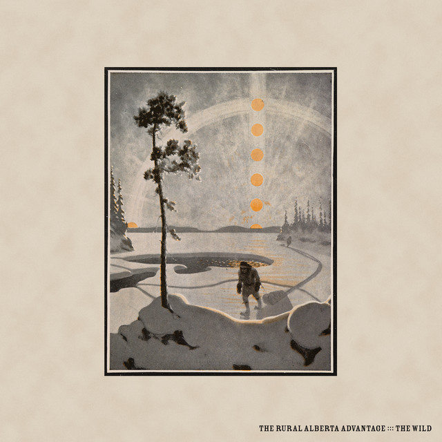 The Wild cover art