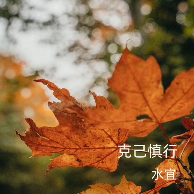 Favorite 水 Photo