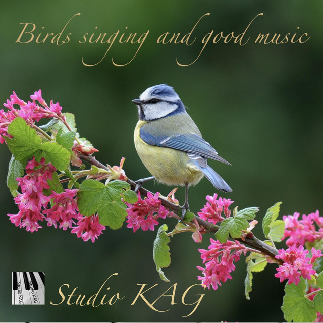Обкладинка: Birds singing and good music — Studio KAG