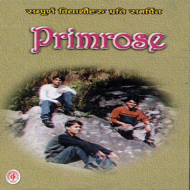 Primrose cover
