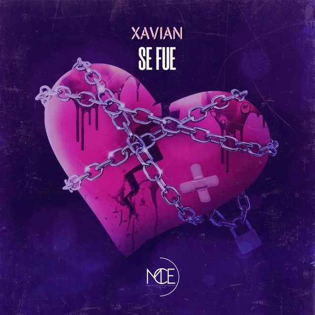 Se Fue - Extended Mix album art