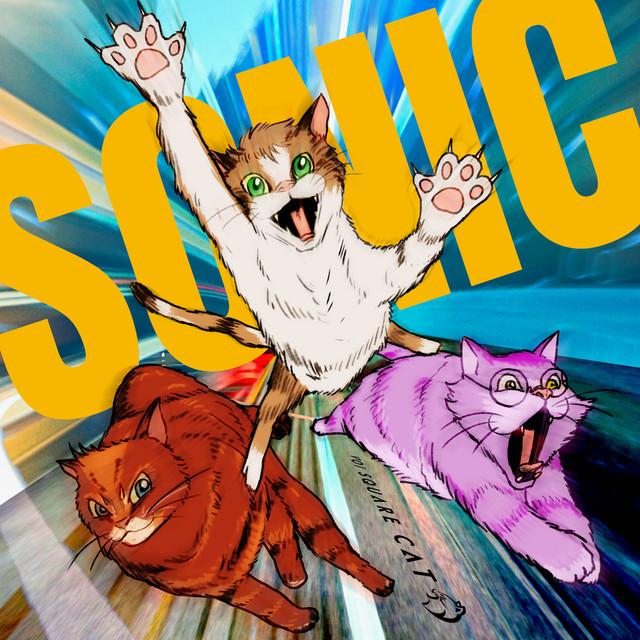 SONIC cover art