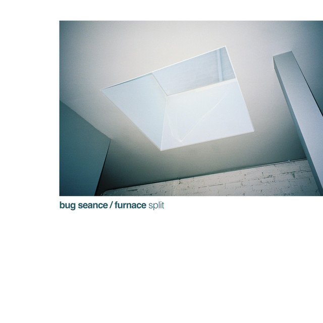 Bug Seance/Furnace Split