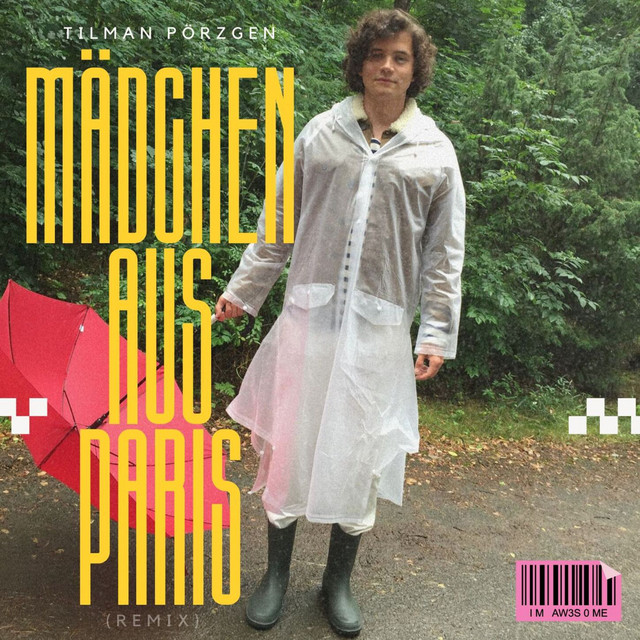 Mädchen aus Paris (Remix) cover