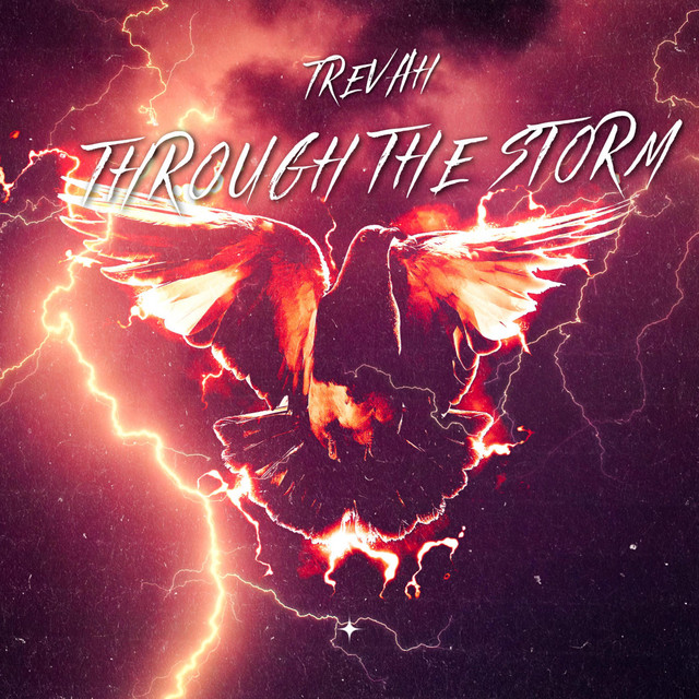 Through The Storm cover art