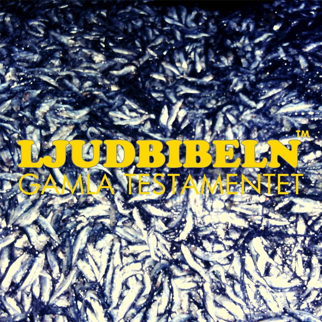 Ordspråksboken Predikaren