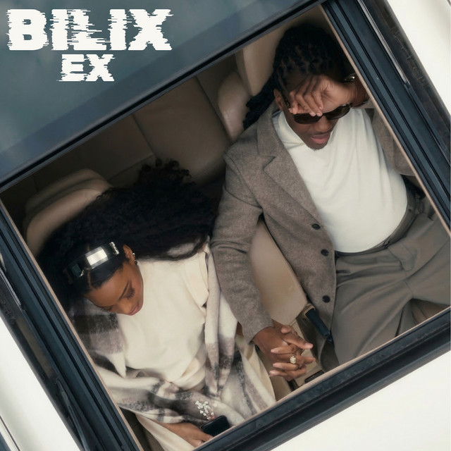 Ex cover art
