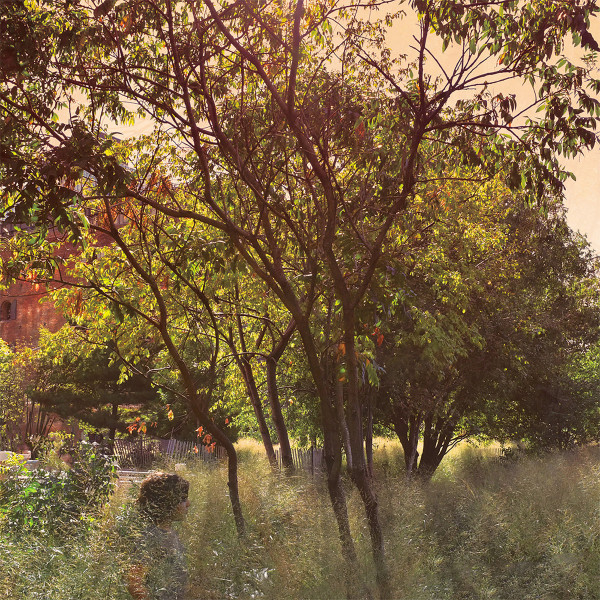Tint cover art