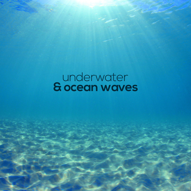 Ocean Noise Photo