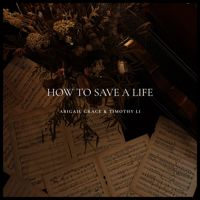 How To Save A Life album image