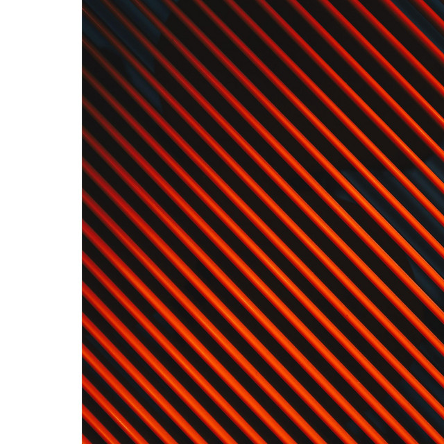 Guise cover art