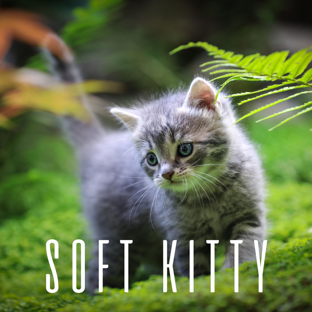 Обкладинка: Soft Kitty — Serge K