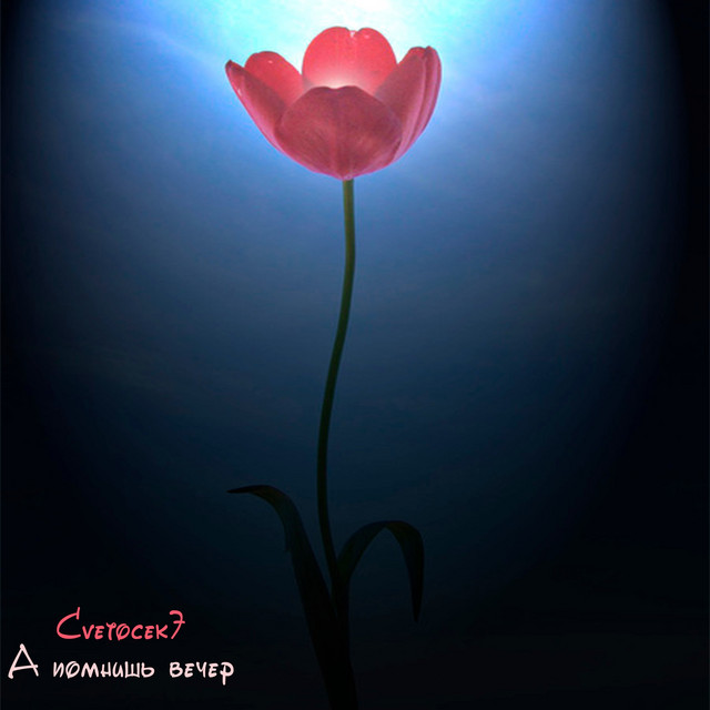 А помнишь вечер cover art