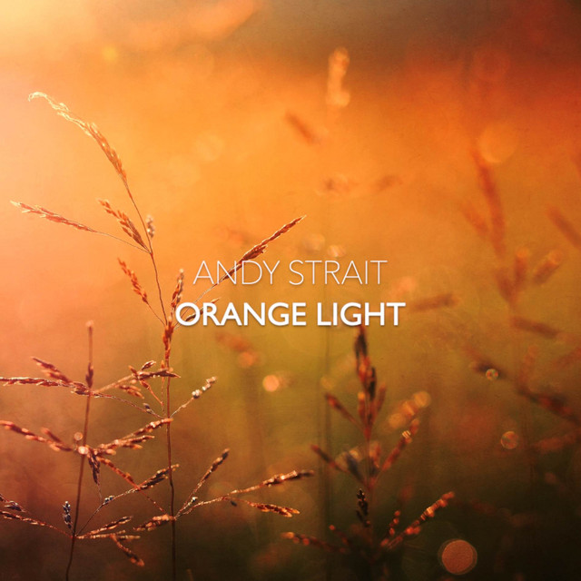 Orange Light cover art