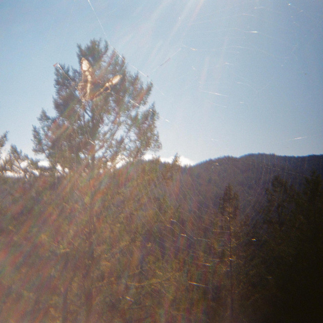 Single: Springtime Comes Again / Love You 'till cover art