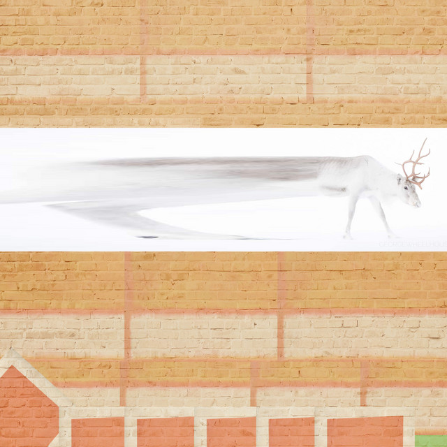 Wall Dancing cover art