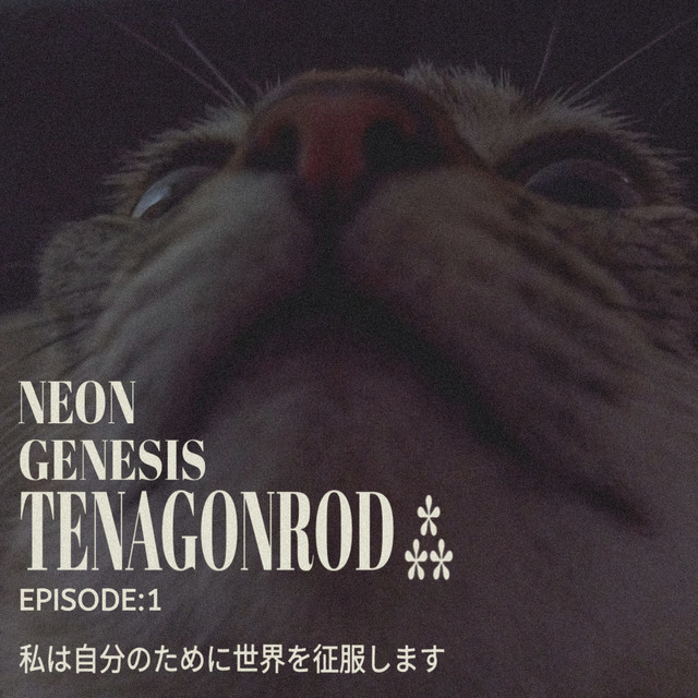 Neon Genesis cover art
