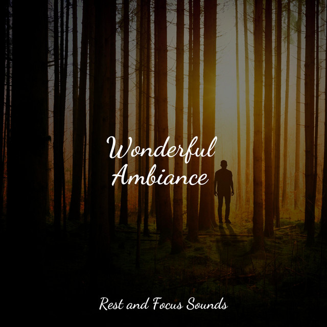 Stoic Mindfulness - song by Studying Music, Relax Meditation Sleep ...